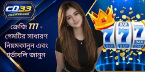 ক্রেজি 777 - গেমটির সাধারণ নিয়মকানুন এবং শর্তাবলি জানুন